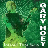 Gary Hoey - Greensleeves