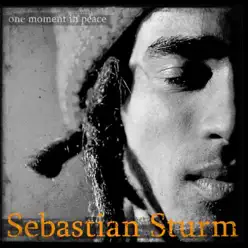 One Moment In Peace - Sebastian Sturm