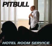 Pitbull - Hotel Room Service