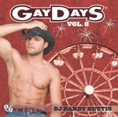 Party Groove: Gay Days, Vol. 8 (Mixed By DJ Randy Bettis)