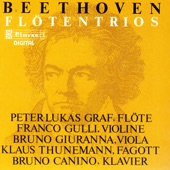 Beethoven: Trio WoO 37 & Serenade Op. 25 artwork