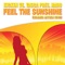 Feel the Sunshine (Summer Anthem 2008) [Radio Edit] artwork