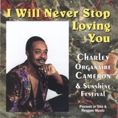 I Will Never Stop Loving You artwork