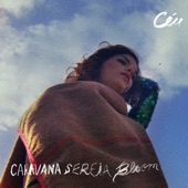 Caravana Sereia Bloom artwork