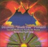 Sacred Medicine Guide Us Home - Harmonized Peyote Songs
