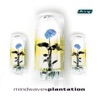 Plantation