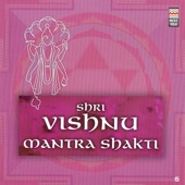Shri Vishnu Aarti artwork
