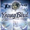 Alissa Raelynn Hamilton's Song - Young Bird lyrics