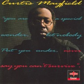 Curtis Mayfield - Never Say You Can't Survive