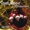 Ryan Shupe & the RubberBand - Drummer Boy