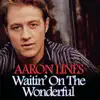 Waitin' On the Wonderful - Single album lyrics, reviews, download