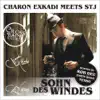 Stream & download Sohn Des Windes - EP