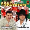 Den-Isa & Nicolae Guta - Ce Mai Viata Pacatoasa
