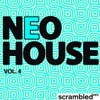 Neo House Vol.4, 2010