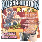 Narcocorridos de Poca M... Los Mas Buscados artwork