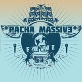 Pacha Massive - For a While