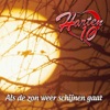 Als De Zon Weer Schijnen Gaat - Single