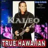 True Hawaiian, Average Joe Music album lyrics, reviews, download