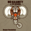 Deeper Revolution - Mo'kalamity & the Wizards