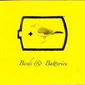 Birds & Batteries - Code Orange