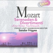 Mozart, W.A.: Serenades and Divertimenti artwork