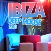 Ibiza Deep House 2010, 2010