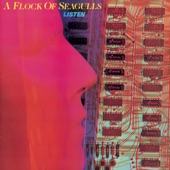 Wishing (If I Had a Photograph of You) by A Flock of Seagulls