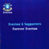 Everton F. C. - Spirit of the Blues artwork