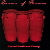 Drums of Passion artwork