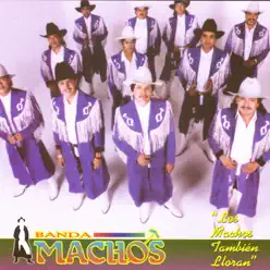 Los Machos También Lloran - Banda Machos