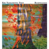 Eri Yamamoto Trio - This Is an Apple