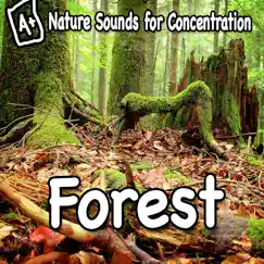 Nature Sounds for Concentration - Forest - Single by Study Music album reviews, ratings, credits