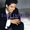 Tony DeSare - Just In Time