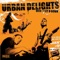 Won't Let You Down - Urban Delights lyrics