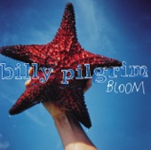 Billy Pilgrim - Boyo