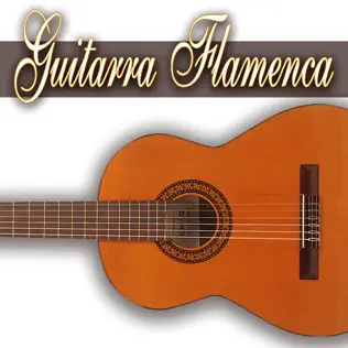 descargar álbum Various - Guitarra Flamenca