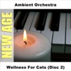 Ambient Orchestra - The Hour of Playing