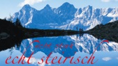 ECHT STEIRISCH - ECHT STARK, Vol. 2