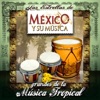 Los Herederos - Tonto Amor