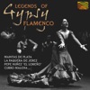 Legends of Gypsy Flamenco