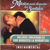 Musica Para Despertar los Sentidos - Boleros Inolvidables, 2008