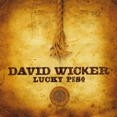 David Wicker - Roll Into Town