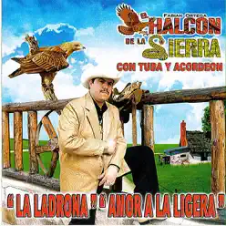 Con Tuba Y Acordeon - El Halcon de La Sierra
