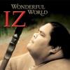 Wonderful World, 2007