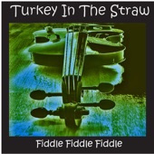 Turkey In the Straw and Other Country Fiddle Hits artwork