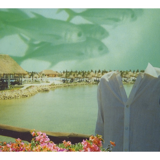 Cover artwork for Damaged Luggage