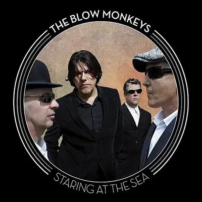 Staring At the Sea - The Blow Monkeys Staring At the Sea - The Blow Monkeys