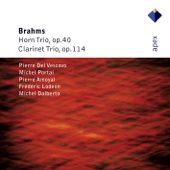 Brahms: Horn Trio & Clarinet Trio artwork