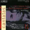 Bach, J.S.: Cantatas, Vol. 11 - Bwv 46, 95, 136, 138 album lyrics, reviews, download