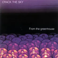 From the Greenhouse - Crack The Sky